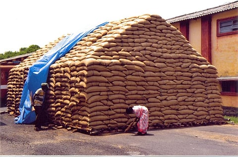 भारतीय खाद्य निगम के गोदाम में अनाज का स्टॉक ओवरफ्लो हो रहा है। फोटो: एफसीआई