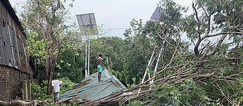 Deshbandhu Park in Kolkata after Cyclone Amphan in early 2020. Photo: Wikimedia Commons