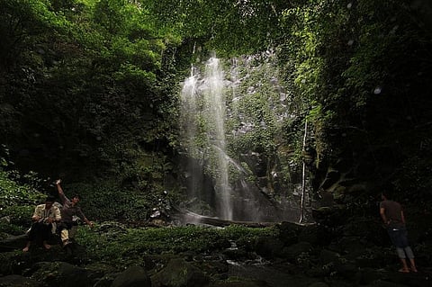 Don’t eat the rainforests: Top brands complicit in Indonesia’s ecosystem destruction, probe alleges