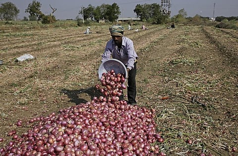 तीन कृषि विधेयकों से क्या वाकई किसानों को फायदा होने वाला है? फोटो: विकास चौधरी