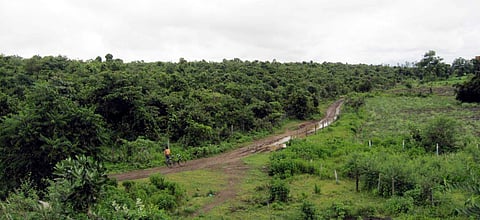 Biodiversity, green cover: Bhopal’s ecological garden offers shot at conservation