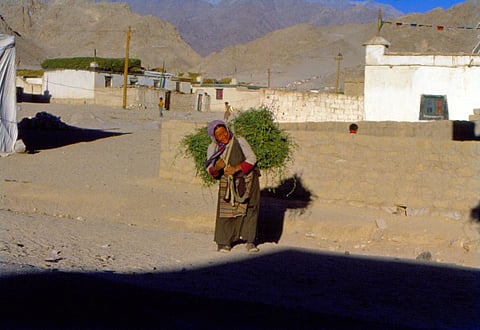हर पंचायत में थी एक उन्नत ग्राम बाजार बनाने की सिफारिश, तीन साल बीत रहे अभी सर्वे जारी