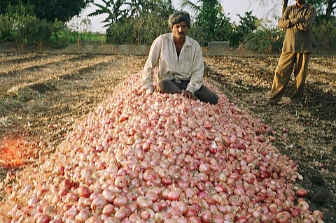 प्याज उत्पादक किसानों की सबसे बड़ी समस्या तब होती है जब प्याज पैदा होकर उनके घर आता है। फोटो: सुरेश बाबू