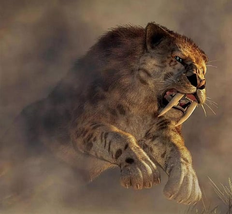 जलवायु नहीं, 96 फीसदी लोग हैं मौजूदा जैव संकट के जन्मदाता : रिपोर्ट