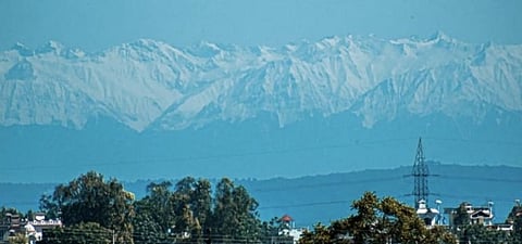 Food, fuel, fashion, flying: Steps towards sustainability post-COVID-19