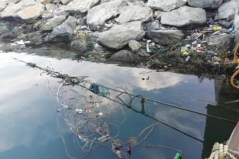 Microplastics again: Report flags threat to marine environment along Kanyakumari coast