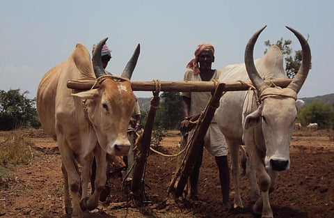 प्रतीकात्मक तस्वीर: मोयना/सीएसई