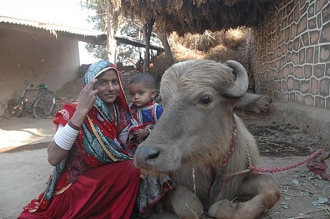 गांवों में रह रही महिलाएं लगभग 5 घंटे अपने परिवार की देखभाल में खर्च कर देती हैं। फोटो सम्राट मुखर्जी/सीएसई