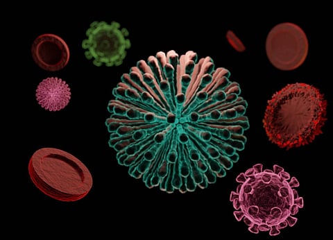 Book Digest: Tracking COVID-19 cover-up, gene editing revolution and more