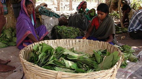 Inter-ministerial committee formed in September to look into FRA implementation