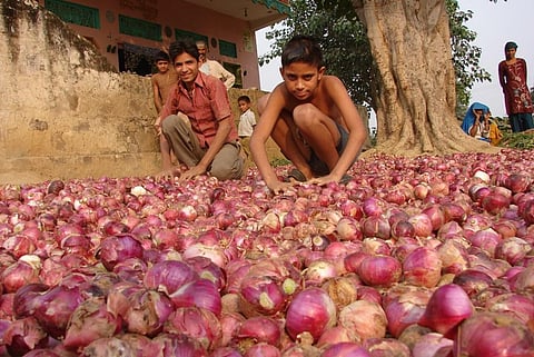 Onion crisis: ‘High time Union govt invested in low-cost storage’