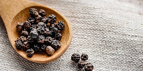 Black pepper may hold the key for Corona fighting drug: Study