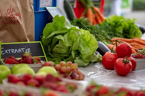 World Food Day: Plant-based diet can fix food inequality, cut premature deaths says report