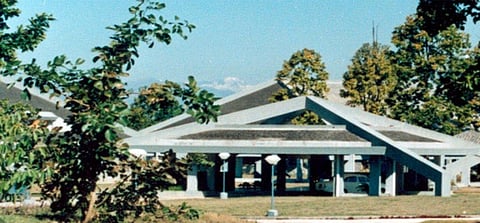 Can’t do without support: Wildlife Institute chief writes to environment ministry