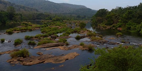 The Chalakudy river. Photo: Sanket Bhale / WWF