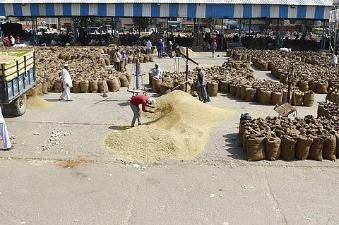 अगस्त-सितंबर में हुई भारी बारिश के कारण कई राज्यों में फसलों को नुकसान पहुंचा है। फोटो: श्रीकांत चौधरी