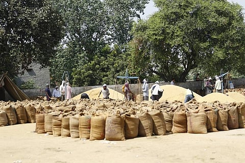 उत्तर प्रदेश में सरकारी खरीद बहुत कम होने के कारण किसान बहुत सस्ती दर पर धान बेचने को मजबूर है। फोटो: श्रीकांत चौधरी