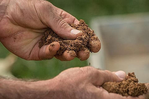 Soil mapping in sub-Saharan Africa for better use of fertilisers, improving food security