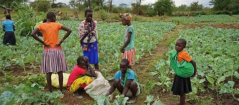 COVID-19: New UN alliance to stave off ‘catastrophic food crisis’