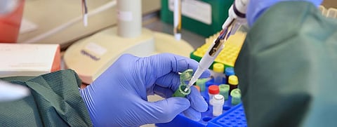 An RT-PCR test. Photo: Wikimedia Commons