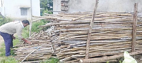 A local entrepreneur in Maharashtra's Vidarbha region, who purchases and aggregates bamboo from small holder farmers. Photo: Abhishek Gawande