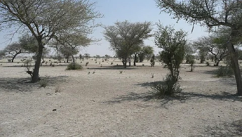 Dry scrubland in the Sahel. Photo: Pixabay