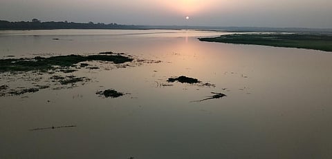 The Haiderpur wetland. Photo: TSA-India