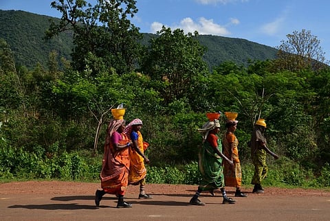 झारखंड विधानसभा ने सरना धर्म कोड के प्रस्ताव पारित कर दिया है। फोटो: सीएसई