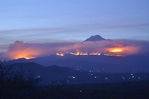 Fires shaped Mount Kilimanjaro’s unique environment. Now they threaten it