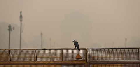 Photo: Vikas Choudhary / CSE