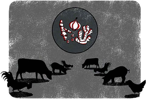 Is there an alternative to antibiotics use in livestock? Yes