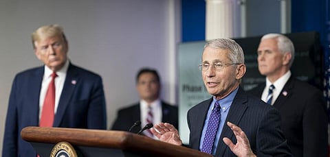 Anthony Fauci and Donald J Trump in a White House briefing on COVID-19. Photo: Wikimedia Commons