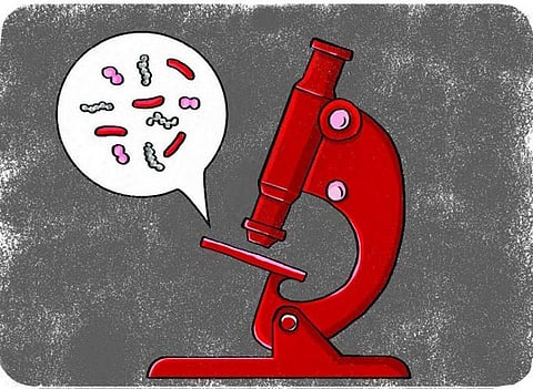 What should India do to control antimicrobial resistance