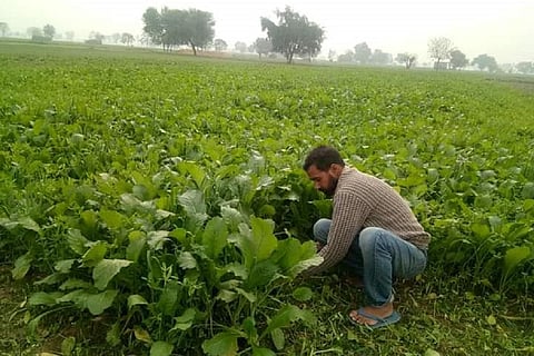 पंजाब के जैविक किसान गोरा सिंह