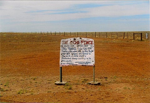 Fences have big effects on land and wildlife around the world that are rarely measured
