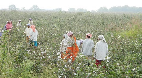 Harnessing people’s power for climate action