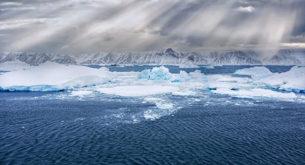 An ocean like no other: The Southern Ocean’s ecological richness, significance for global climate