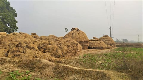 Bihar scrapped APMC Act, mandi system 14 years ago; here’s what it did to farmers