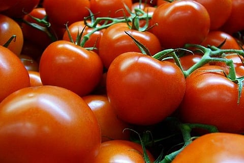 किसानों को फसल उगाने के बाद वेल्यू एडिशन का प्रशिक्षण क्यों नहीं दिया जाता। फोटो: creative commons