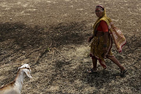 उत्तरी अटलांटिक में आई मौसमी गड़बड़ी के चलते भारत में पड़ रहा है सूखा