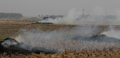 Bihar cracks down on errant farmers for stubble burning