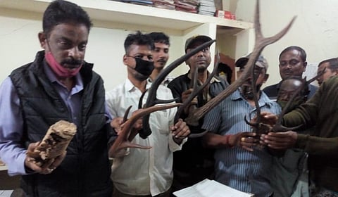 Forest officials with the wildlife parts. Photo: Ashis Senapati
