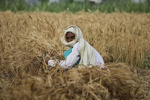 ग्रामीण क्षेत्रों में वैक्सीन का बेसब्री से इंतजार किया जा रहा है। फोटो: विकास चौधरी