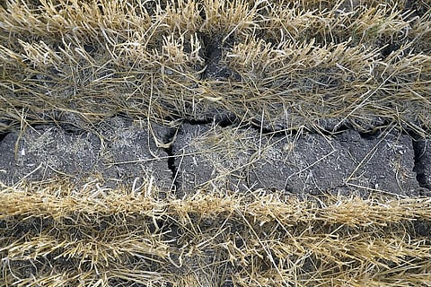 2027 से 2042 के बीच खतरनाक स्तर पर पहुंच जाएगी तापमान में हो रही वृद्धि