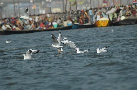 Photo: Agnimirh Basu