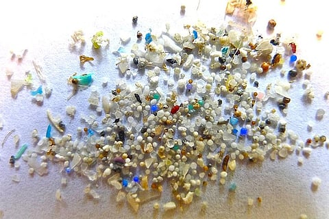 Photo-Wikimedia Commons, Microplastics