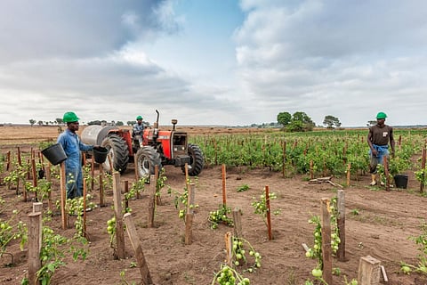 Tractors can change farming in good ways and bad: lessons from four African countries