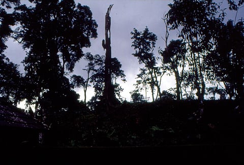 Is India ready for post-2020 global biodiversity framework?