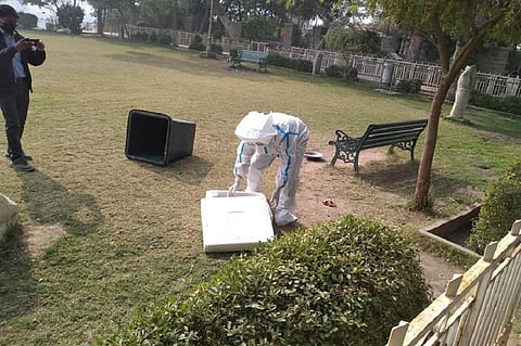 राजस्थान के पाली में मृत पक्षियों को बॉक्स में ले जाता वन विभाग का कर्मचारी । फोटो: माधव शर्मा