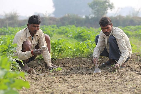 फाइल फोटो: विकास चौधरी